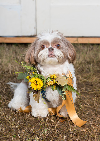 2015Oct24_5836