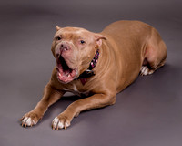 Maggie Griner-7497