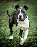 Foster Maya-0192