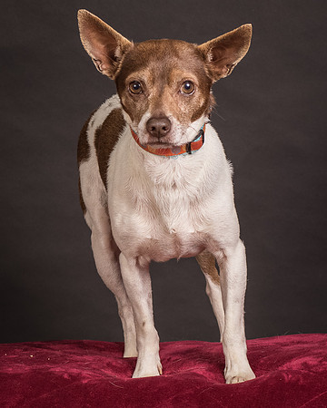 Foster Gus-0362