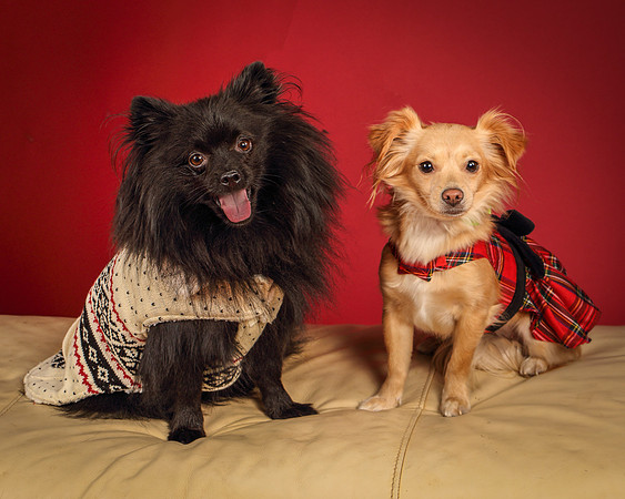 Milo and Miya-5218