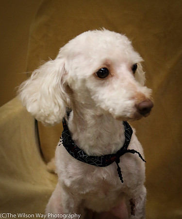 Foster Loretta-0246