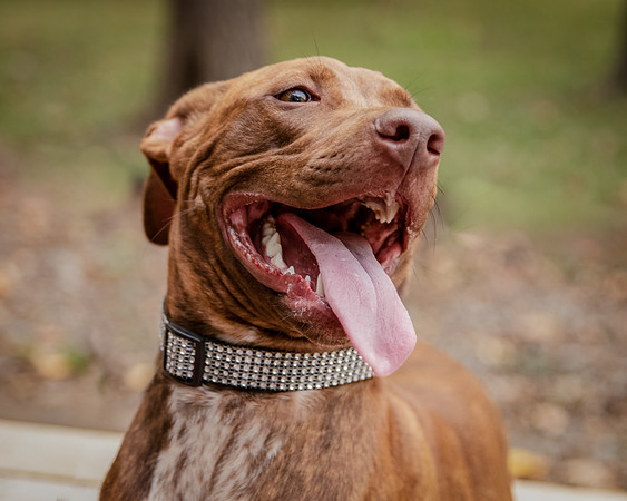 Foster Caitlyn4881