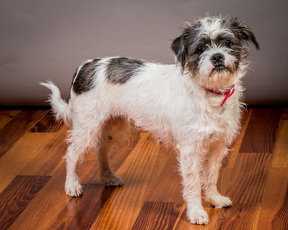 Foster Leeza-2819