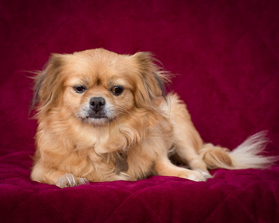 Foster Tia Maria-7918