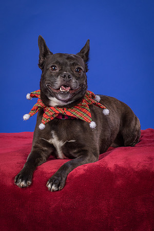 Slattery-Bella-0091