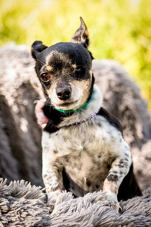 Foster Leela-7927