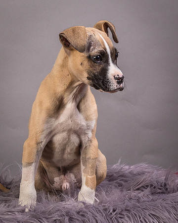 Foster Barnabas-4473