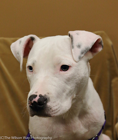 Foster Curt-0570