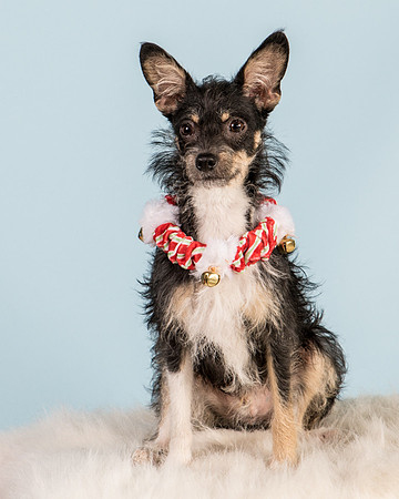 Foster Riley-5109