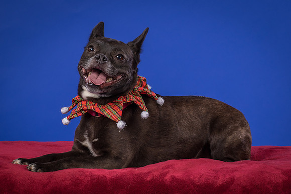 Slattery-Bella-0103
