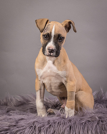 Foster Barnabas-4499
