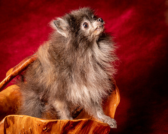 Foster Loretta-1336
