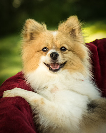Foster Sydney-7510