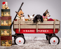 Foster Hospice Gang-3823