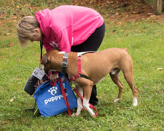 PuppyUp-1056