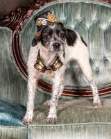 Foster Billie-8126