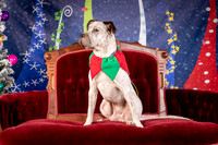 Foster Sylvester-0937