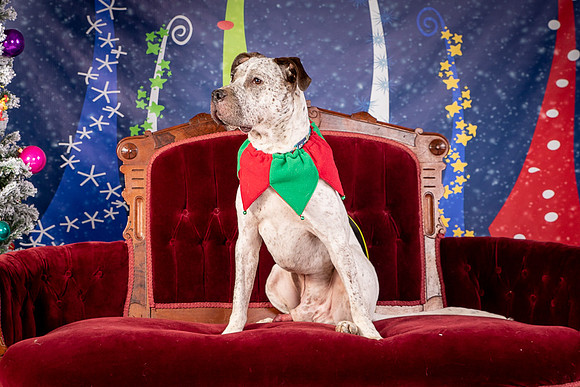 Foster Sylvester-0937