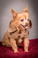 Foster Pancho-9503