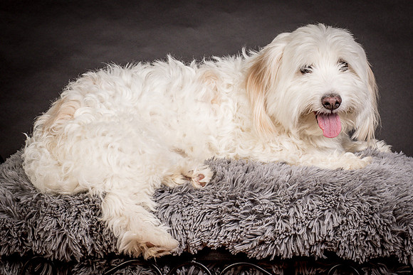 Foster Frosty-0631