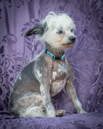 Foster Freckles-5421