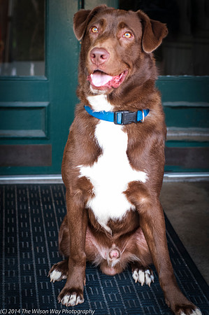 Foster Coco-8767