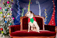 Foster Sylvester-0934