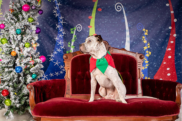 Foster Sylvester-0934