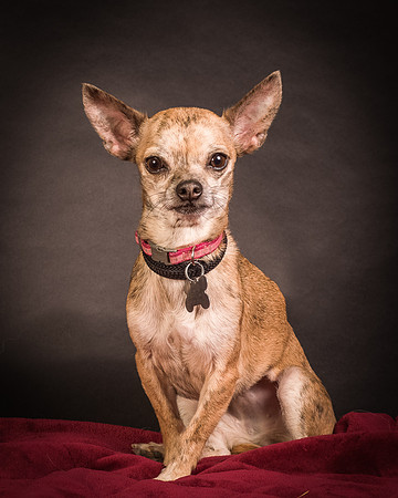 Foster Selina-1093