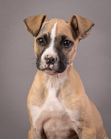 Foster Barnabas-4512