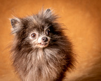 Foster Loretta-1252