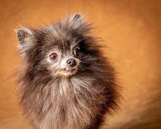 Foster Loretta-1252