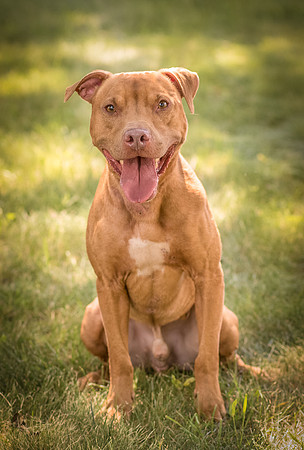 Foster Pablo-7996