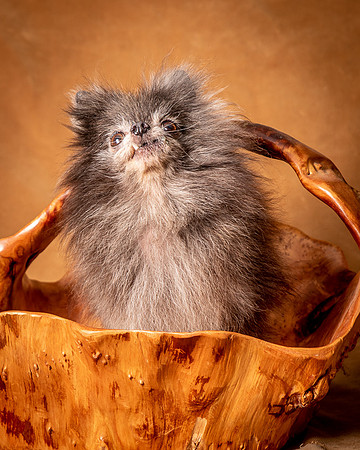 Foster Loretta-1319