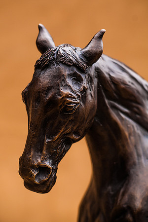 KTM-Horse Sculpture-0724