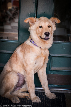 Foster Presha-9443
