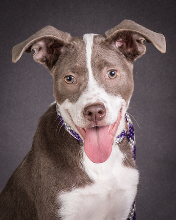 Foster Ari-8544-2