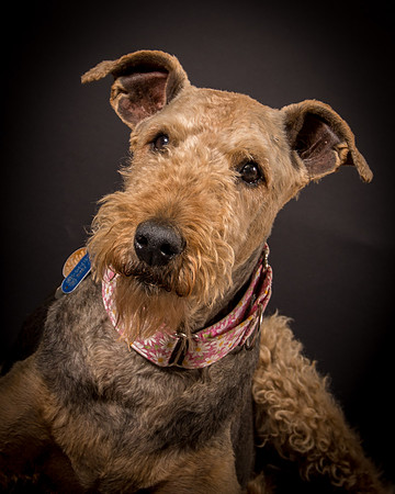Sammie-7616