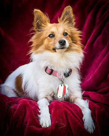 Foster Brandi-3385