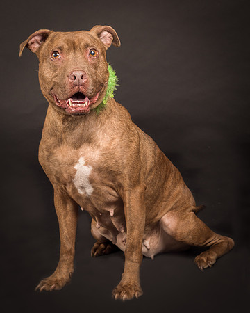 Foster Coco-2027