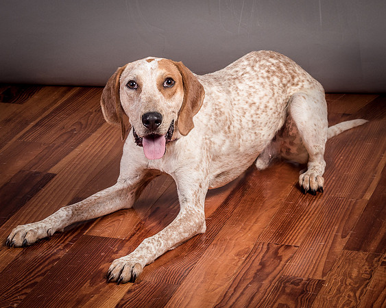 Foster Memphis-3123