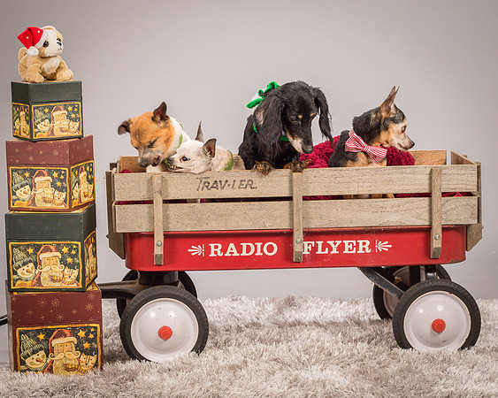 Foster Hospice Gang-3957