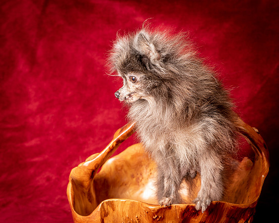 Foster Loretta-1341