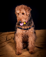 Dixie Lou-5643