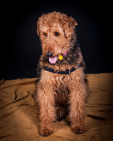 Dixie Lou-5643