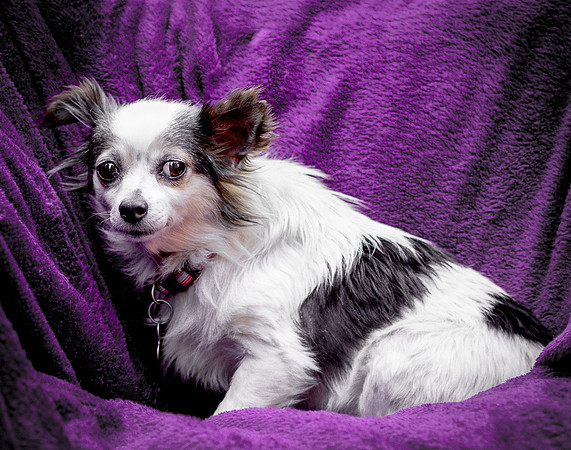Foster Anouk-8812