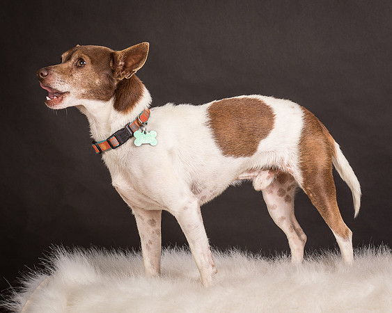 Foster Gus-0335