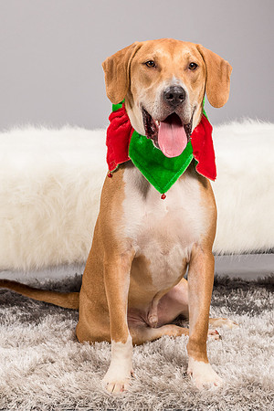 Foster Troy-6274