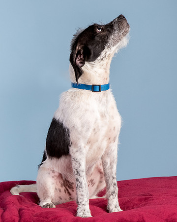 Foster Billie-8183